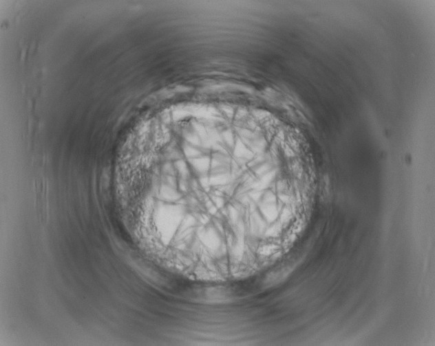 X0000082730365200702232353