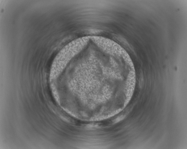 X0000082730366200702232353