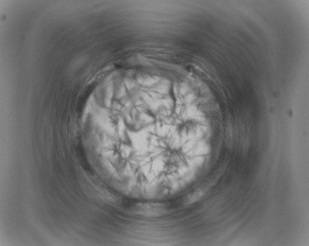 X0000082730367200702232353