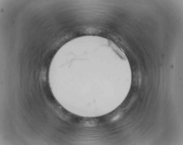 X0000082730368200702232353