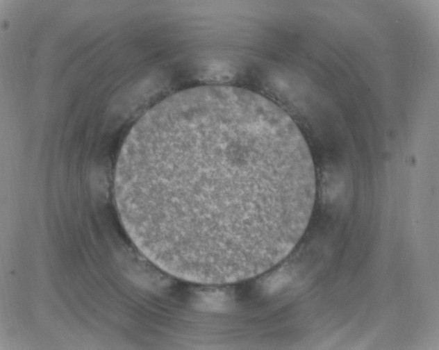 X0000082730370200702232353