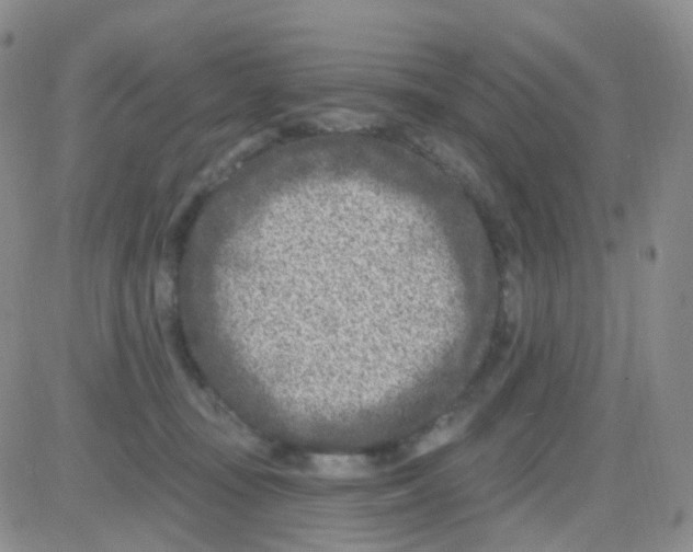 X0000082730371200702232353