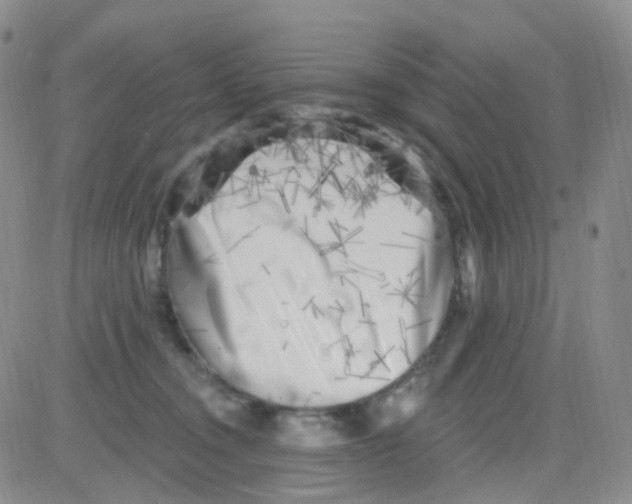 X0000082730372200702232353