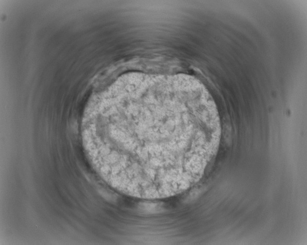 X0000082730375200702232353