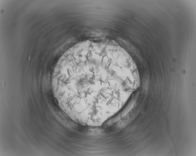 X0000082730376200702232353