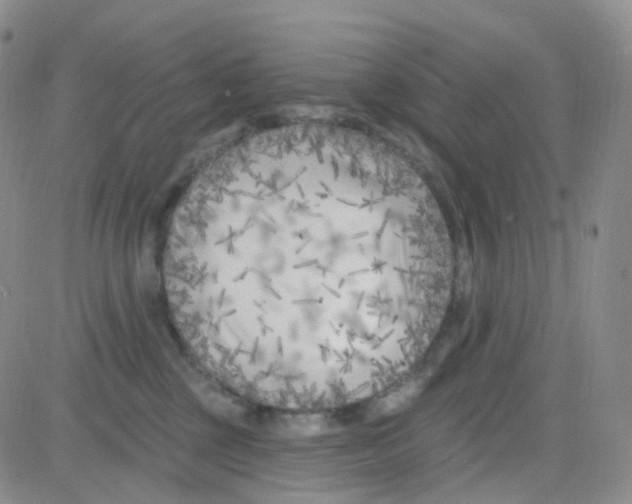 X0000082730377200702232353