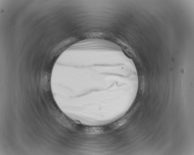 X0000082730378200702232353