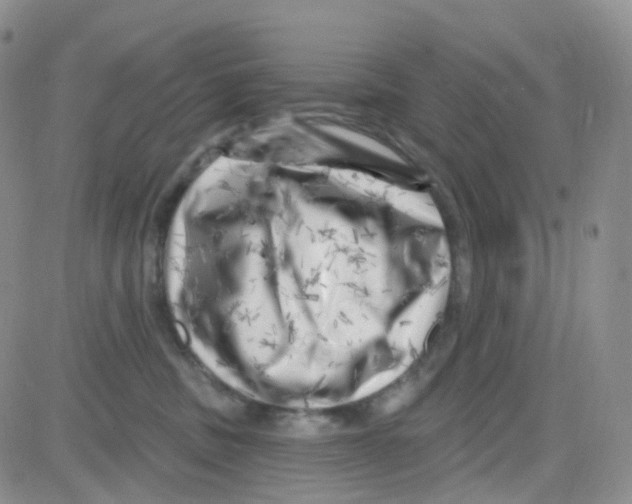 X0000082730379200702232353