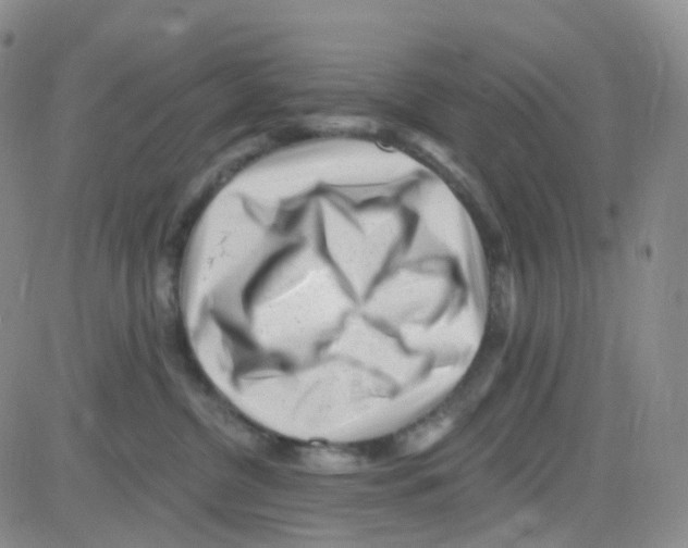 X0000082730380200702232353