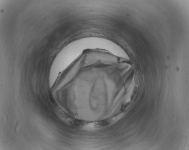 X0000082730382200702232353