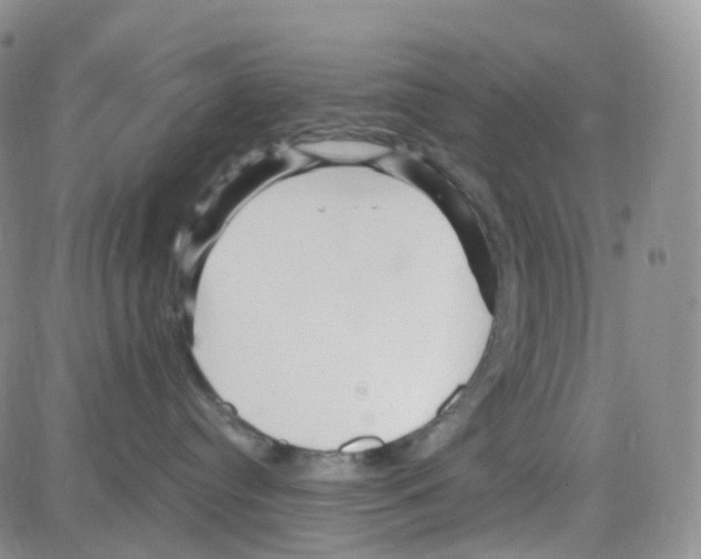 X0000082730384200702232353