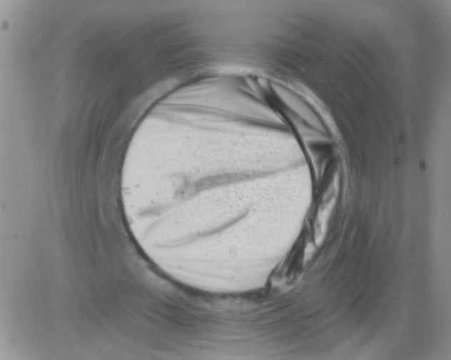 X0000082730385200702232352