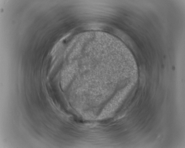 X0000082730386200702232352