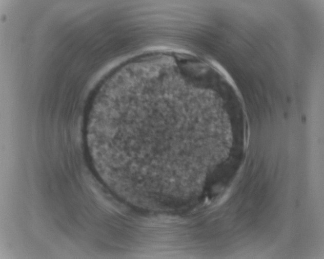 X0000082730387200702232352