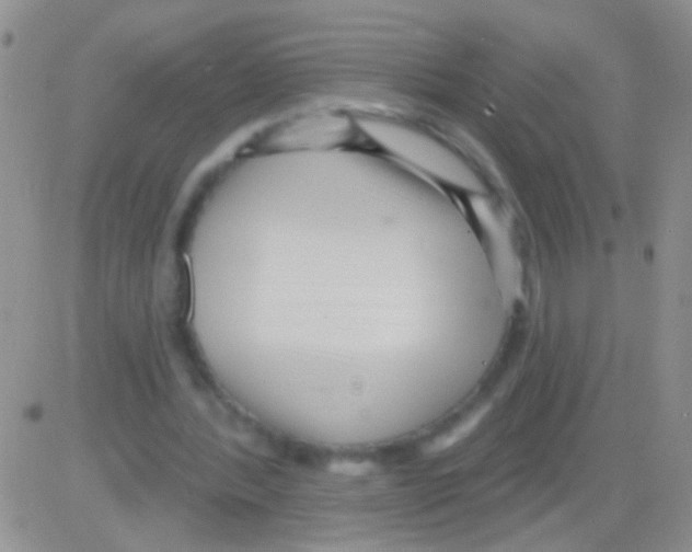 X0000082730388200702232352