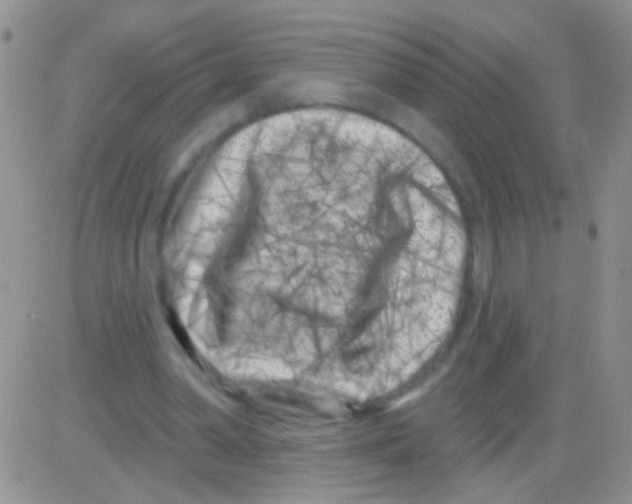 X0000082730390200702232352