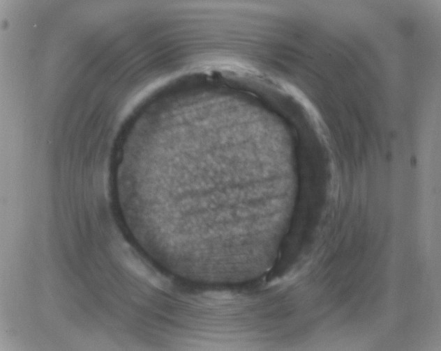 X0000082730391200702232352