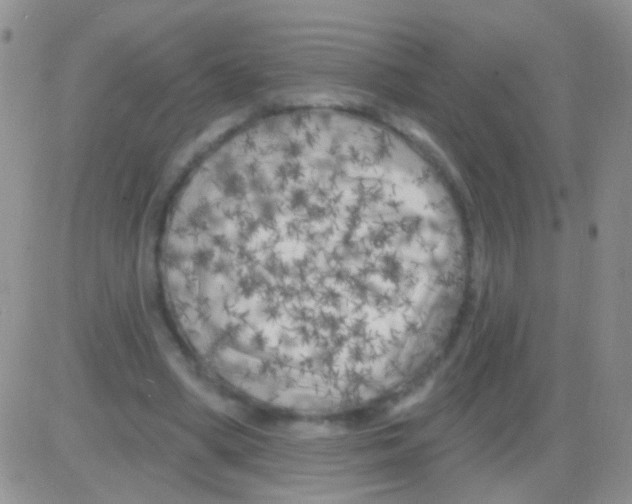 X0000082730394200702232352