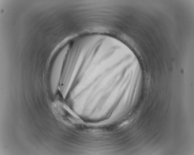 X0000082730395200702232352