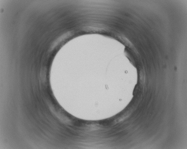 X0000082730396200702232352