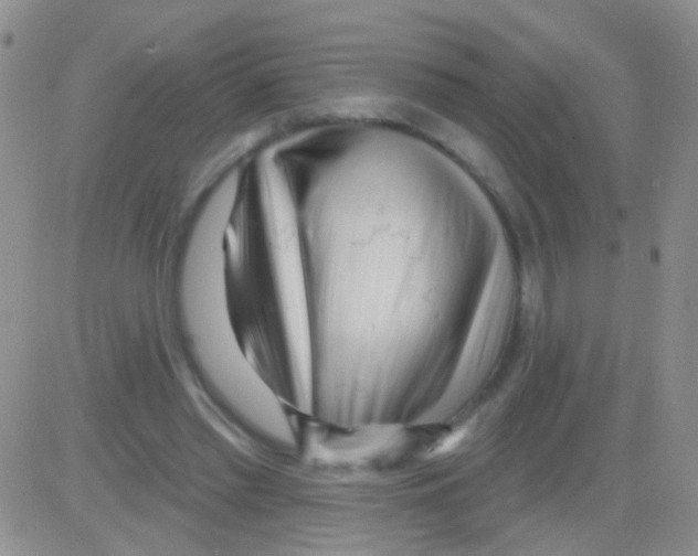 X0000082730397200702232352