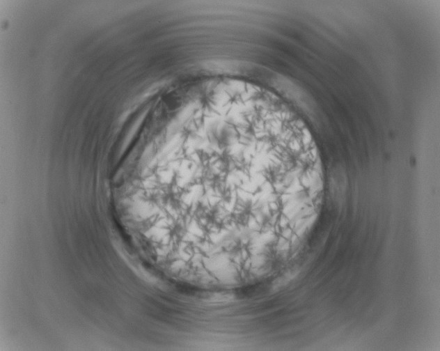 X0000082730398200702232352