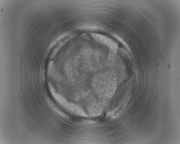 X0000082730399200702232352