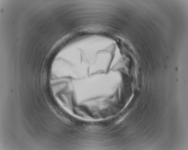 X0000082730400200702232352