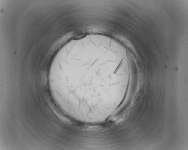 X0000082730401200702232352