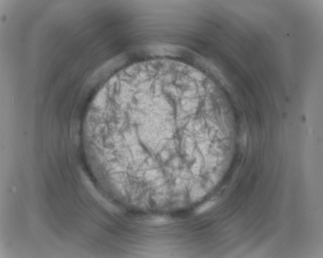 X0000082730402200702232352