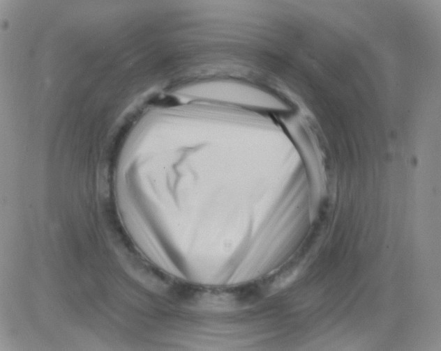 X0000082730403200702232352