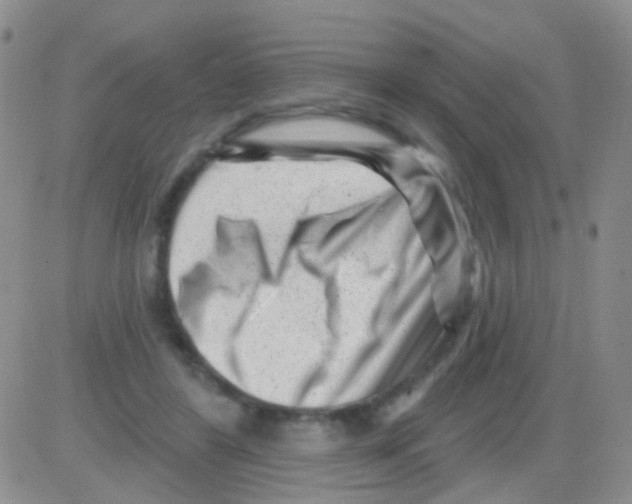 X0000082730404200702232352