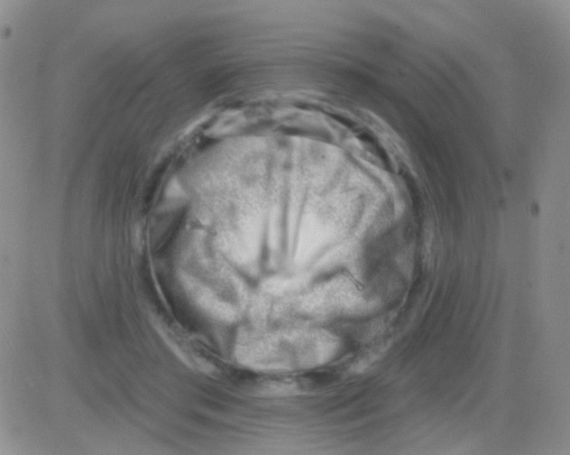 X0000082730405200702232352