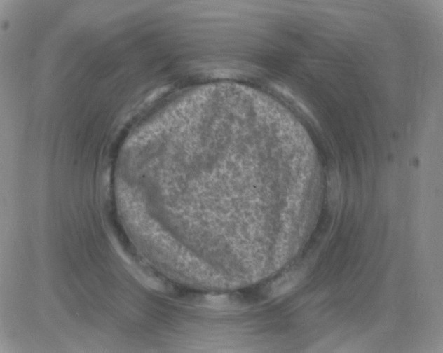 X0000082730406200702232352