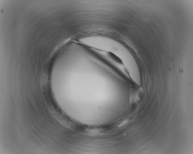 X0000082730407200702232352