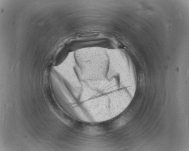 X0000082730408200702232352