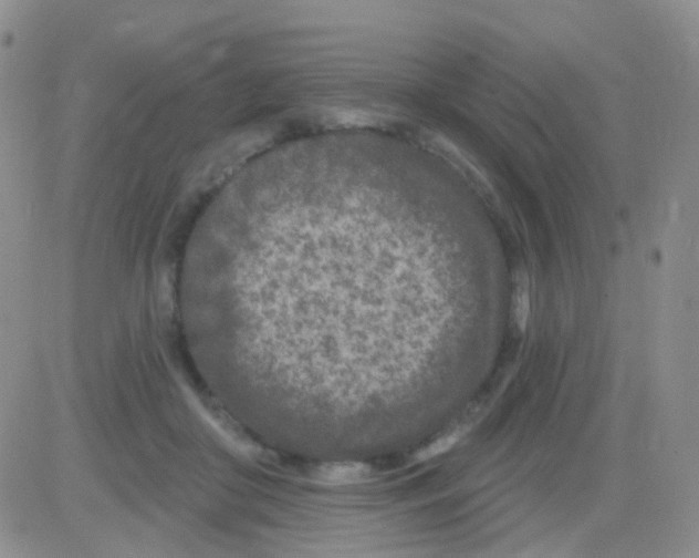 X0000082730410200702232352