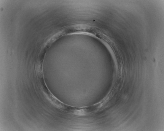 X0000082730411200702232352