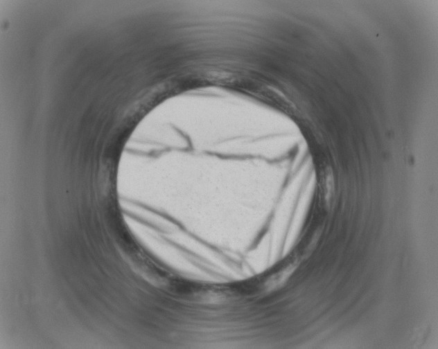 X0000082730412200702232352