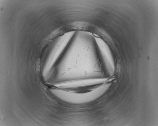 X0000082730413200702232352