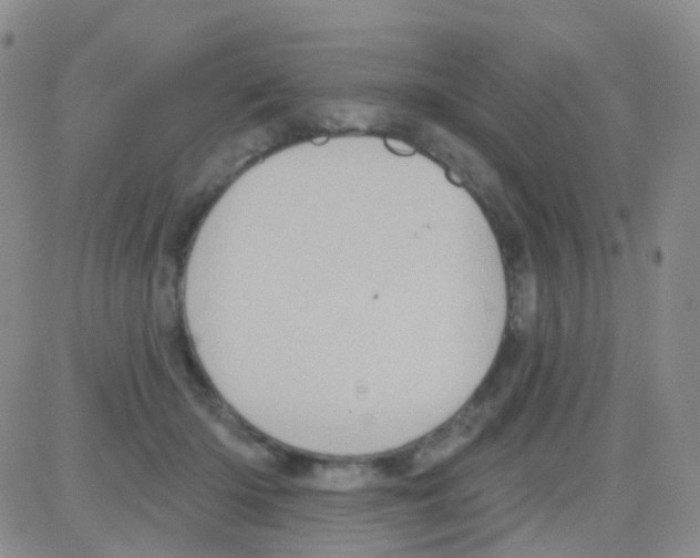 X0000082730414200702232352