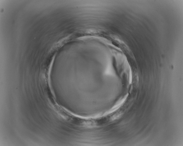 X0000082730415200702232352