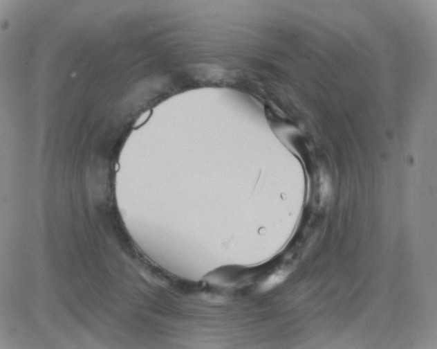 X0000082730416200702232352