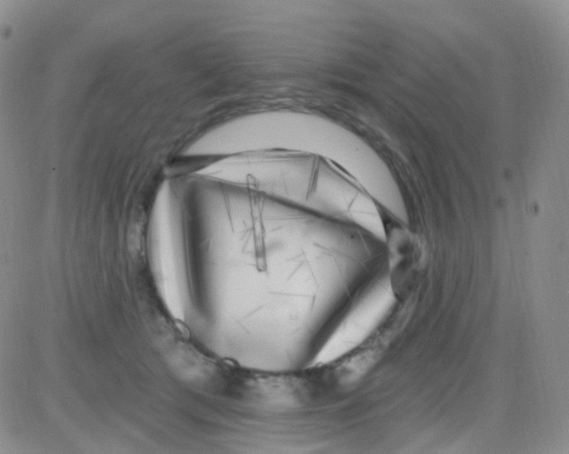 X0000082730417200702232352