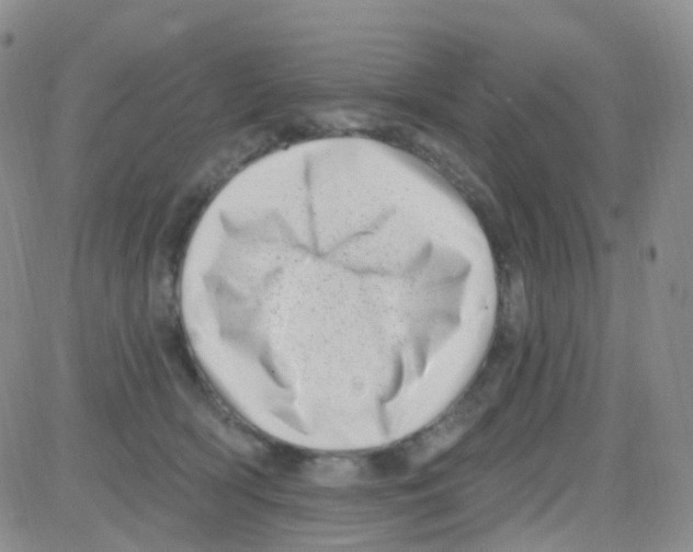 X0000082730418200702232352