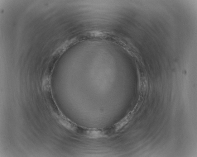 X0000082730419200702232352