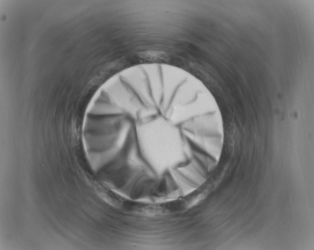 X0000082730420200702232352