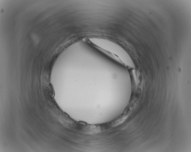 X0000082730421200702232352