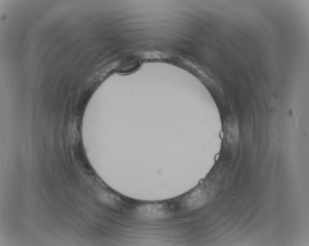 X0000082730422200702232352