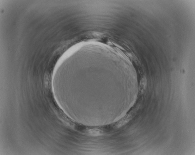 X0000082730423200702232352